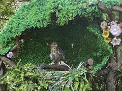 -常州淹城野生动物世界
