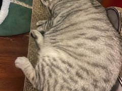 -H立方实景剧情密室(天河旗舰店)