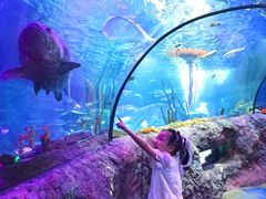 -沈阳海洋探索中心