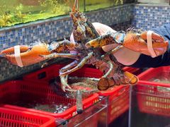 -巽寮印象美食部落餐厅·海鲜·地方特色菜(惠州体验店)