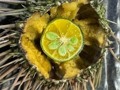 -海胆小馆(东北水饺·春柳店)