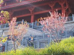 -古柏渡飞黄旅游区