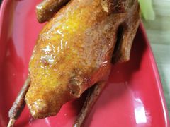 -光明刘冰乳鸽店(光明法政北路店)