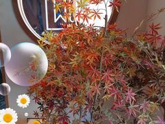 -首秀·四川料理(星耀101店)