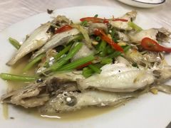 -老三鱼仔店