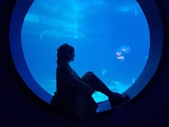 -烟台海昌鲸鲨海洋公园