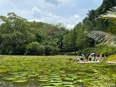 -中国科学院西双版纳热带植物园