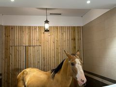 -中国马镇舞马世界主题乐园