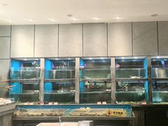 -码头鲜精致威海菜(欧乐坊店)