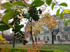 -山东师范大学(千佛山校区)