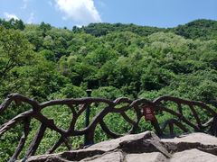-秦岭终南山世界地质公园翠华山景区