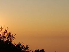 -冶春茶社(星汉大厦店)