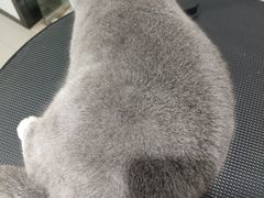 -宠颐生动物医院·小陆分院