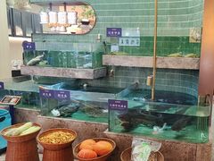 -鱼你相聚·河鲜馆(袁家岭店)