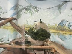 -南宁市动物园