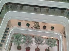 -中国人民解放军总医院(301医院)