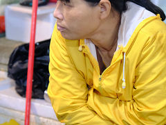-霞山水产品批发市场