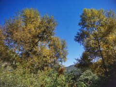 -鼎泰中汇广场