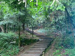 -上海佘山国家森林公园天马山园