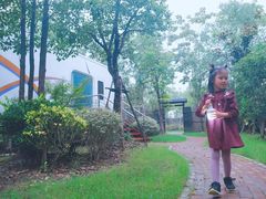 -上海海湾国家森林公园