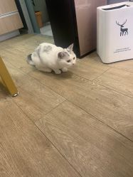 -Hello Beauty美甲美睫皮肤管理中心