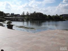 -新江湾城公园