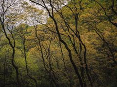 -狼牙山风景区