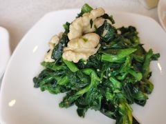 巧拌山野菜-大铁勺酒楼(宾水西道店)