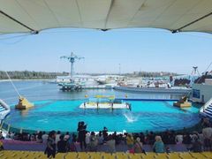 -秦皇岛乐岛海洋王国