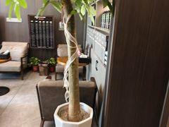 -鹿栖.精油SPA(金山世纪城店)