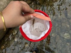 -青城两河漂流