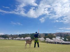 -奈良公园