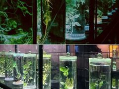 -广东中医药博物馆