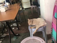-潮镇老尾牛杂(环城西路店)
