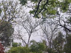 -云龙山