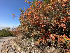 -北京西山国家森林公园