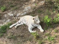 -石家庄市动物园