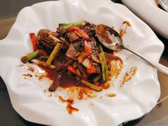 -中苑海韵