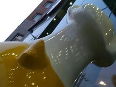 -北京全聚德(西翠路店)
