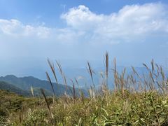 -大围山国家森林公园