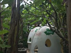 -100蛋泥浆浴