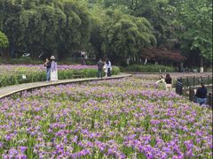 -龙头寺公园