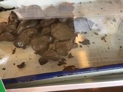 -竺桥兄弟烤鸭(总店)