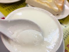 蛋白炖鲜牛奶-澳洲牛奶公司(佐敦店)