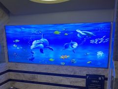 -水立方国际汤泉(六一中路店)