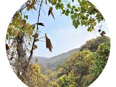 -宝界山林公园