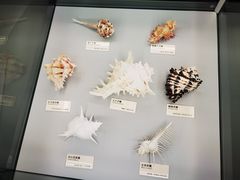 -天津古林古海岸遗迹博物馆