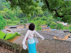 -杨家堂村