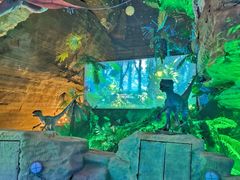 -梭布垭石林景区