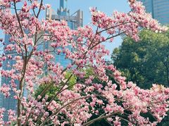 -陆家嘴中心绿地